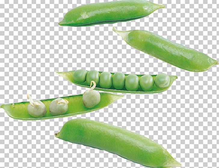 Pea Soup Split Pea Pulseless Electrical Activity Vegetable PNG, Clipart, Computer Icons, Food, Free, Fruit, Gimp Free PNG Download