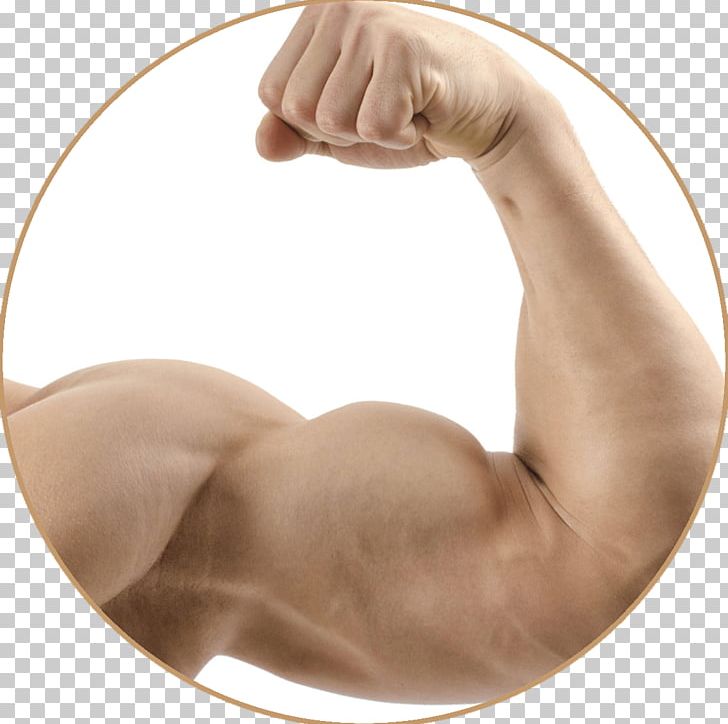 Pumpkin Pie Denny's Tumblr Muscle PNG, Clipart, Arm, Biceps, Body Hair, Chest, Dennys Free PNG Download