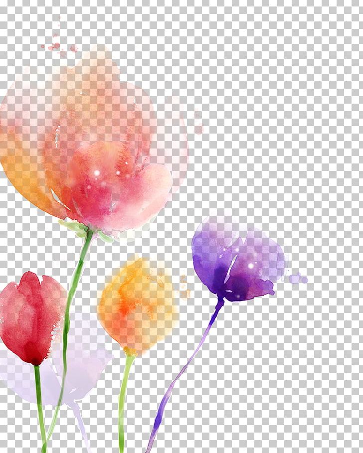 South Korea Watercolor Painting Flower PNG, Clipart, Art, Blossom, Computer Wallpaper, Download, Floral Design Free PNG Download