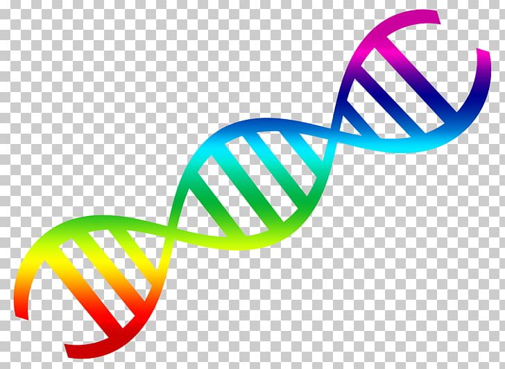 DNA Nucleic Acid Double Helix PNG, Clipart, Area, Circle, Cliparts, Color, Diagram Free PNG Download