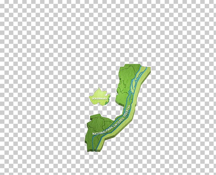 Green Shoe PNG, Clipart, Art, Green, Shoe Free PNG Download