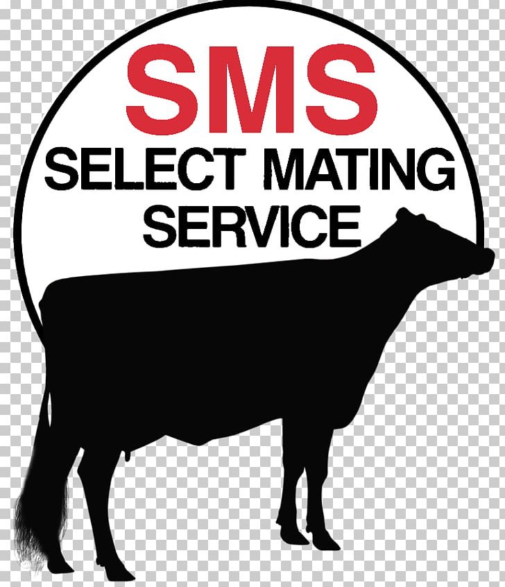 Mating SMS Customer Service Holstein Friesian Cattle PNG, Clipart, Animal Breeding, Area, Artwork, Black And White, Brand Free PNG Download
