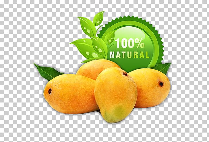 Ratnagiri Devgad Taluka Alphonso Sindhudurg District Mango PNG, Clipart, Citric Acid, Citrus, Cultivar, Devgad Taluka, Diet Food Free PNG Download