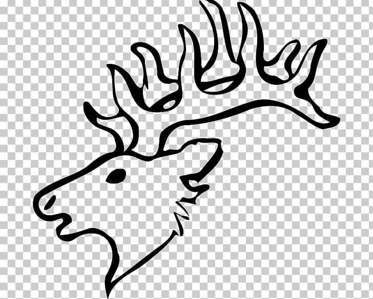 White-tailed Deer Reindeer Drawing PNG, Clipart, Animals, Antler, Artwork, Black And White, Chital Free PNG Download