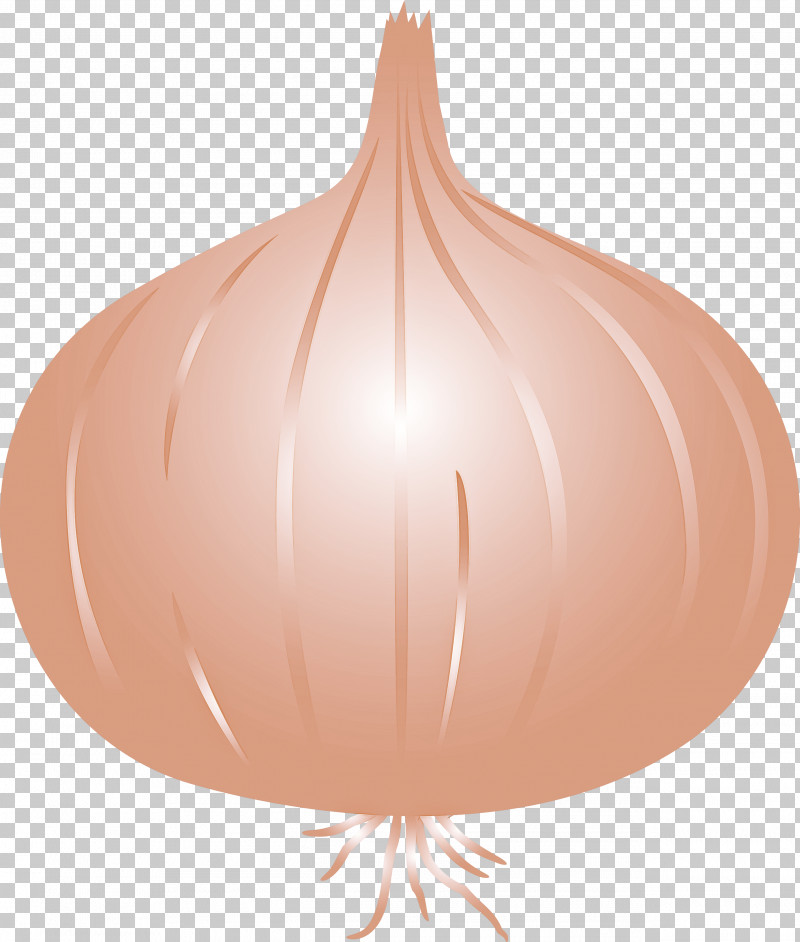 Onion PNG, Clipart, Onion, Peach Free PNG Download
