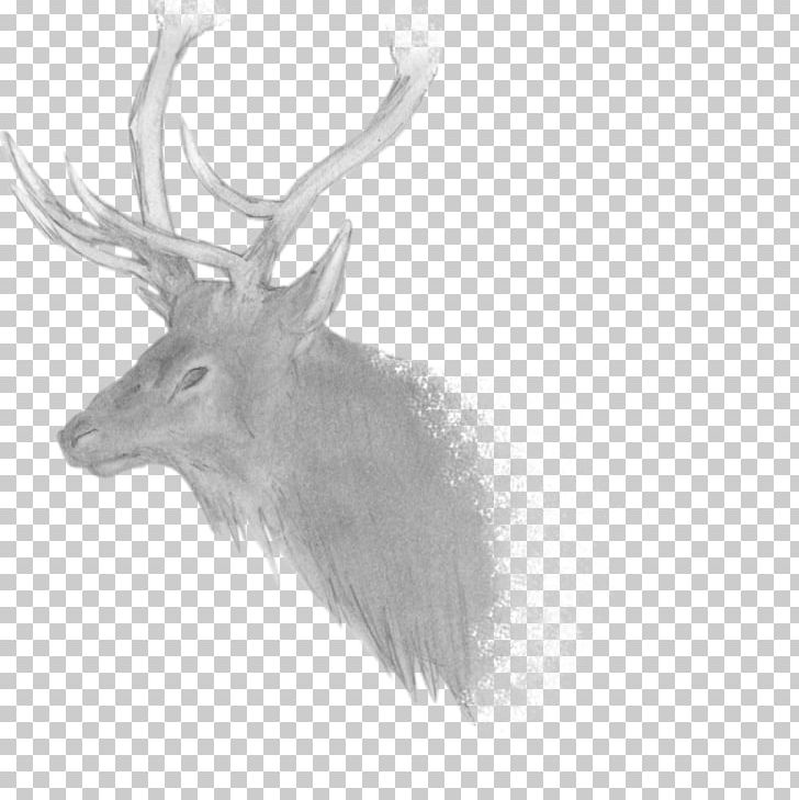 Elk Reindeer Antler Fauna Black PNG, Clipart, Antler, Black, Black And White, Cartoon, Deer Free PNG Download