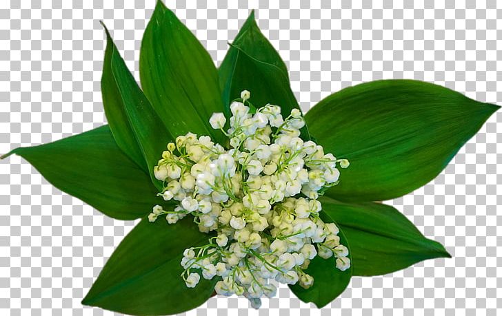 Labour Day May 1 Lily Of The Valley International Workers Day Party PNG, Clipart, Carnival, Clips, Decorative, Decorative Material, Elements Free PNG Download