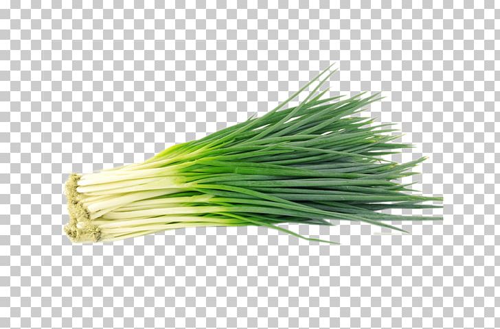 Shallot Vegetable Allium Fistulosum Bulb Scallion PNG, Clipart, Alli, Bunch Of Carrots, Bunch Of Flowers, Commodity, Condiment Free PNG Download