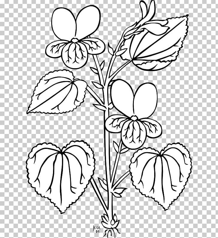 Viola Glabella Plant PNG, Clipart, Branch, Coloring Book, Creative Arts, Cut Flowers, Diagram Free PNG Download