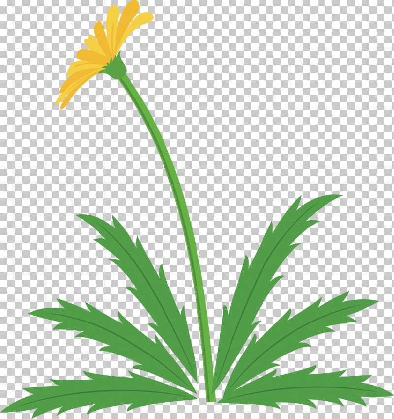 Dandelion Flower Easter Day Flower Spring Flower PNG, Clipart, Dandelion Flower, Easter Day Flower, Flower, Grass, Houseplant Free PNG Download