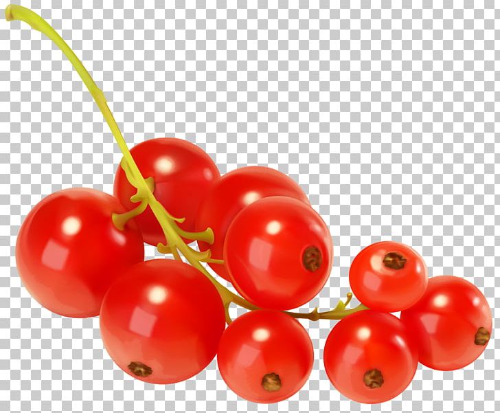 Redcurrant Blackcurrant Berry PNG, Clipart, Berry, Blackcurrant, Blueberry, Cherry, Clip Art Free PNG Download