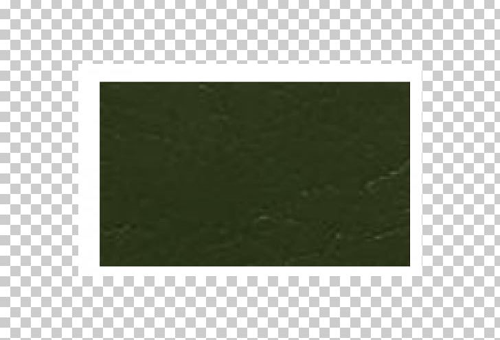 Green Rectangle PNG, Clipart, Angle, Grass, Green, Juniper, Rectangle Free PNG Download
