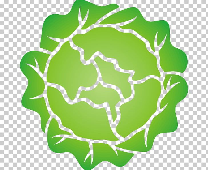 Iceberg Lettuce Salad Leaf Vegetable PNG, Clipart, Area, Circle, Computer Icons, Cute Lettuce Cliparts, Green Free PNG Download