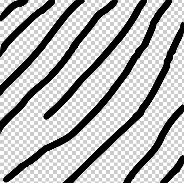 Minutiae Fingerprint Information Mathematics Point PNG, Clipart, Bifurcation Theory, Black, Black And White, Branch, Fingerprint Free PNG Download