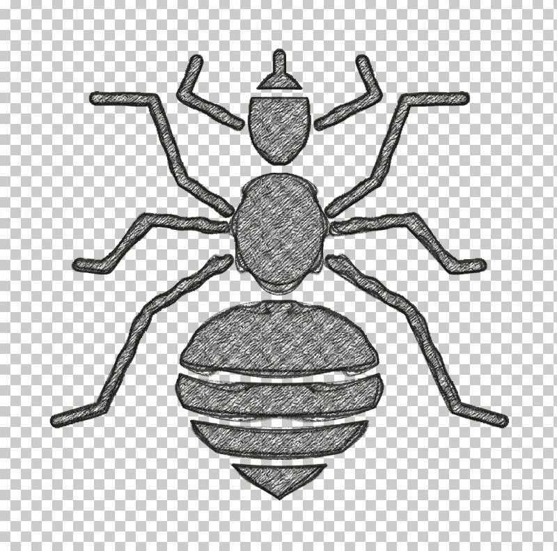 Insects Icon Louse Icon PNG, Clipart, Arachnid, Darkling Beetles, Insect, Insects Icon, Louse Icon Free PNG Download