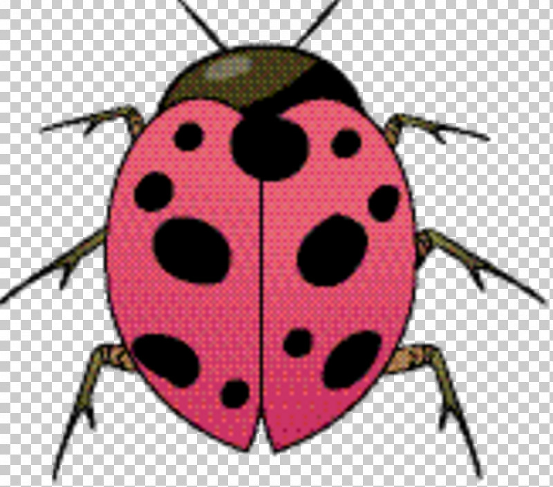 Beetle Lady Bird PNG, Clipart, Beetle, Insect, Jewel Bugs, Lady Bird, Ladybug Free PNG Download