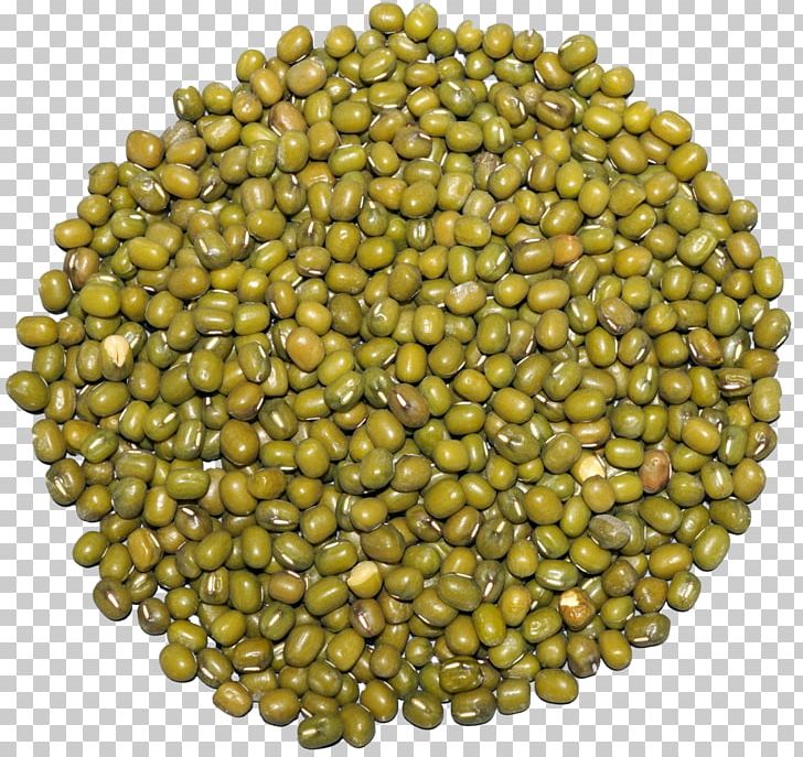 Legume Vegetarian Cuisine Mung Bean Lentil PNG, Clipart, Agriculture, Bean, Commodity, Common Bean, Crop Free PNG Download