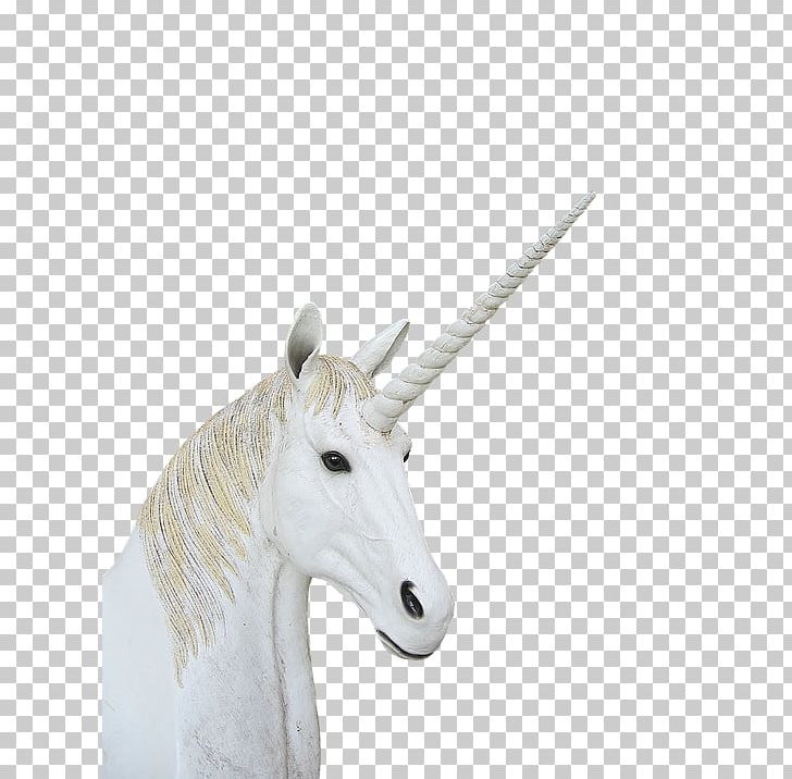 Unicorn Neck PNG, Clipart, Animal, Fantasy, Fictional Character, Horn, Magic Free PNG Download