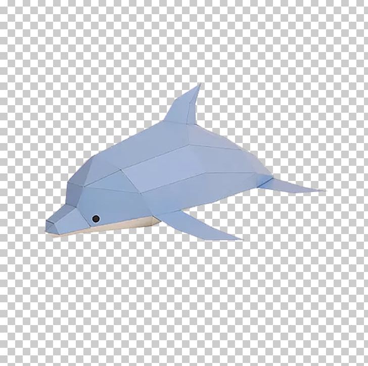 Common Bottlenose Dolphin Paper Tucuxi Jigsaw Puzzles PNG, Clipart, Animals, Art, Bottlenose Dolphin, Cartilaginous Fish, Child Free PNG Download