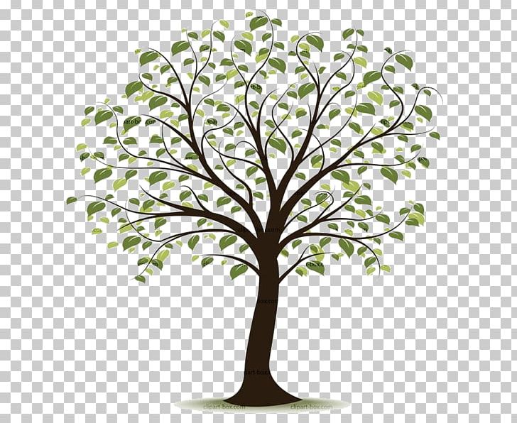 Open Free Content Tree PNG, Clipart, Branch, Computer Icons, Desktop Wallpaper, Document, Download Free PNG Download