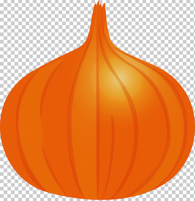 Onion PNG, Clipart, Biology, Calabaza, Fruit, Leaf, Onion Free PNG Download