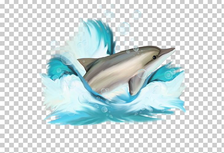 Dolphin PNG, Clipart, Animal, Animals, Blue, Creative Ads, Creative Artwork Free PNG Download