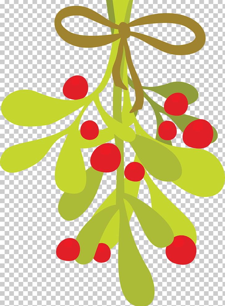 Mistletoe Phoradendron Tomentosum PNG, Clipart, Artwork, Branch, Christmas Decoration, Christmas Ornament, Christmas Tree Free PNG Download