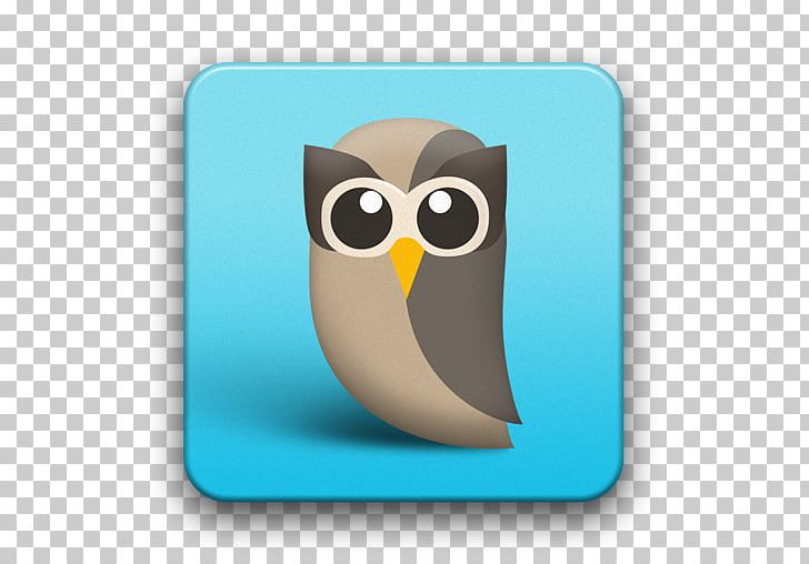 Social Media Hootsuite Foursquare Social Network PNG, Clipart, Android, Beak, Bird, Bird Of Prey, Buffer Free PNG Download