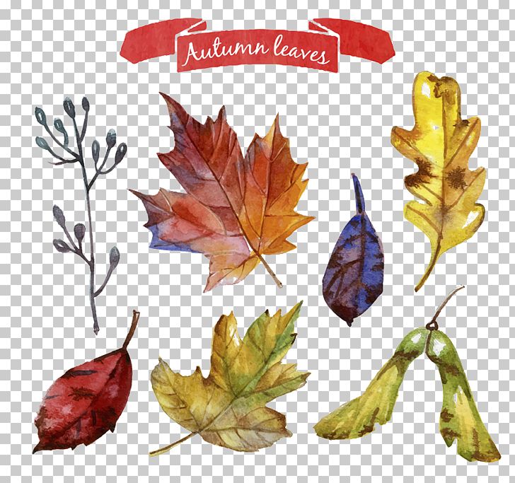 Autumn Leaves Wreath Material PNG, Clipart, Acorn, Art, Autumn, Christmas Wreath, Download Free PNG Download