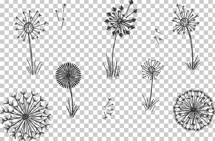 Common Dandelion Plant Euclidean PNG, Clipart, Black And White, Computer Icons, Design, Flight, Flower Free PNG Download