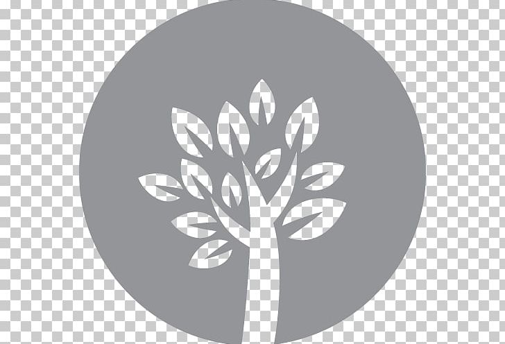 Forest Gospodarka Leśna Google Play Tree PNG, Clipart, App Store, Black And White, Circle, Conflagration, Flora Free PNG Download