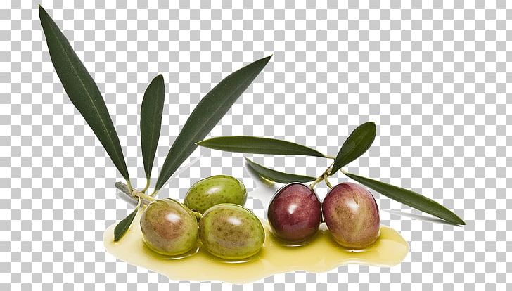 Olive Oil Condiment Picual Arbequina PNG, Clipart, Arbequina, Cake, Condiment, Cup, Food Free PNG Download