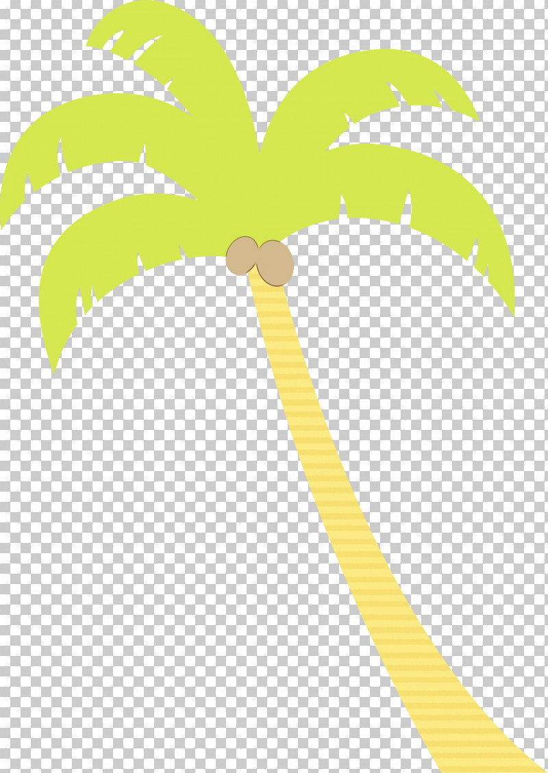 Palm Trees PNG, Clipart, Beach, Biology, Cartoon Tree, Leaf, Line Free PNG Download