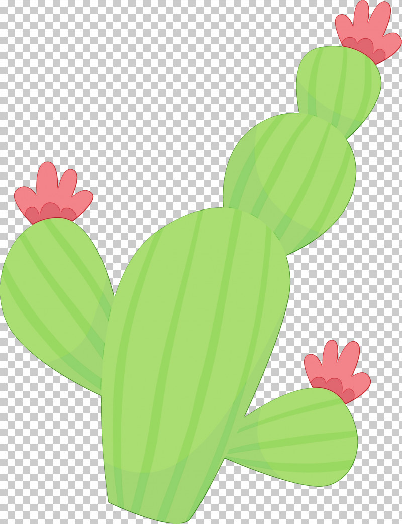 Cactus PNG, Clipart, Cactus, Frogs, Green, Paint, Watercolor Free PNG Download