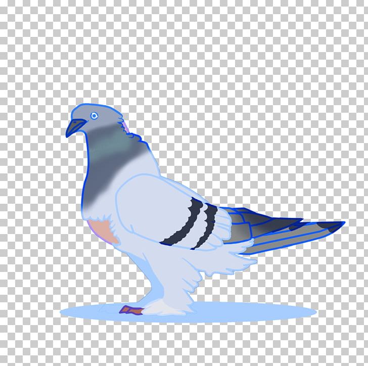 Bird Columbidae Domestic Pigeon Cobalt Blue Beak PNG, Clipart, Animal, Animals, Beak, Bird, Blue Free PNG Download