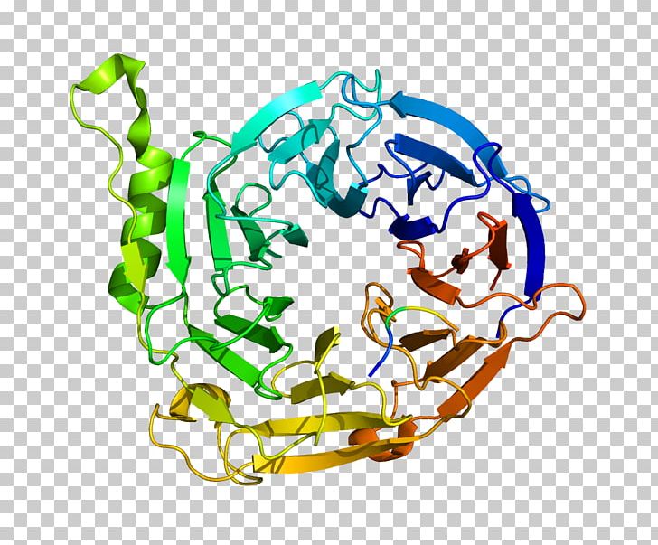 Protein Complex EED Polycomb-group Proteins Peptide PNG, Clipart, Area, Artwork, Biology, Chromatin, Circle Free PNG Download