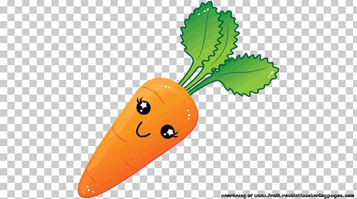 Carrot Vegetable Fruit PNG, Clipart, Apple, Auglis, Carrot, Daucus, Daucus Carota Free PNG Download