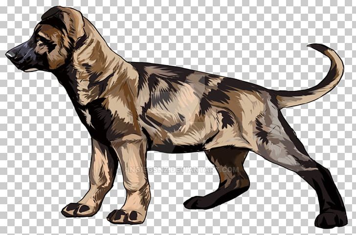 Dog Breed Crossbreed PNG, Clipart, Animals, Breed, Carnivoran, Crossbreed, Dog Free PNG Download