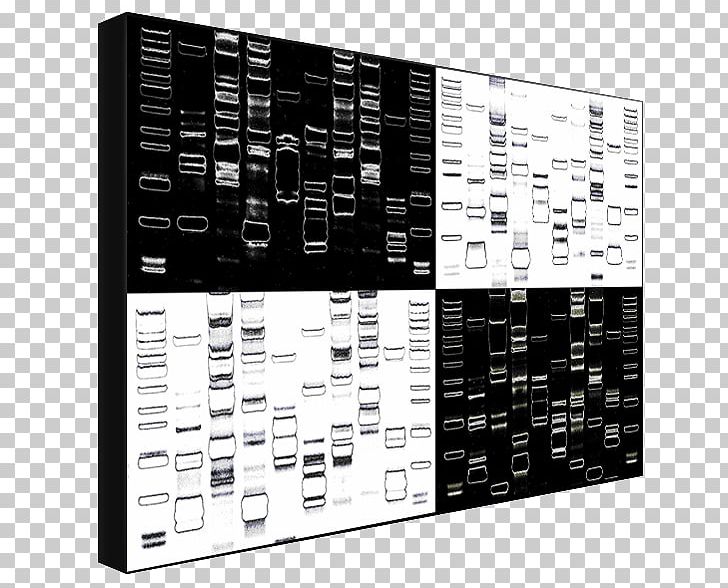 Dynamic DNA Labs Eye Color Font PNG, Clipart, Black And White, Color, Dna, Dna Day, Eye Free PNG Download