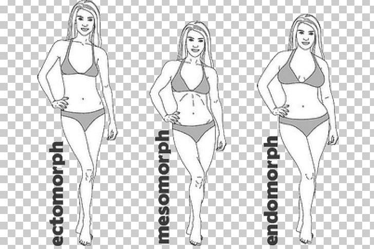 Female Body Shape Human Body Health Eating Nutrition PNG, Clipart, Abdomen, Arm, Eating, Exercise, Fashion Design Free PNG Download