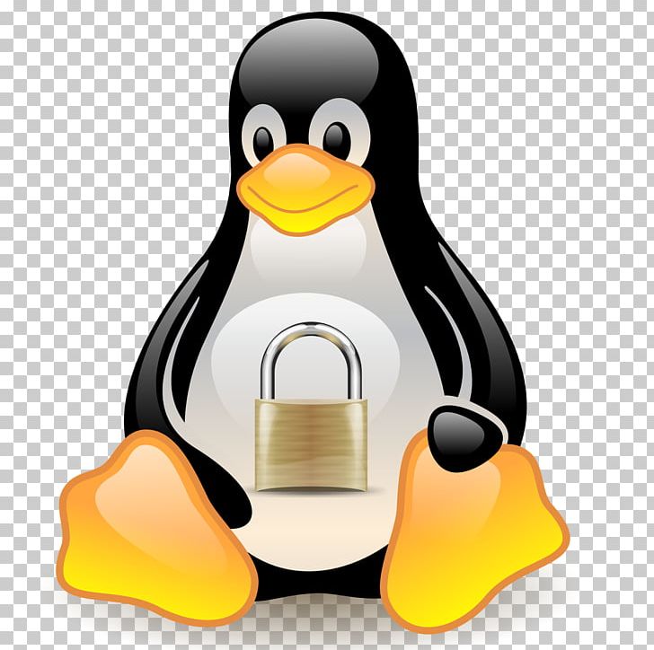 Tux Racer Linux Distribution Penguin PNG, Clipart, Android, Beak, Bird, Computer, Computer Servers Free PNG Download