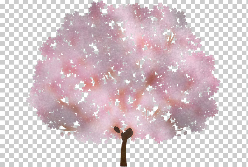 Cherry Blossom PNG, Clipart, Blossom, Cherry, Cherry Blossom, Petal, Pink M Free PNG Download