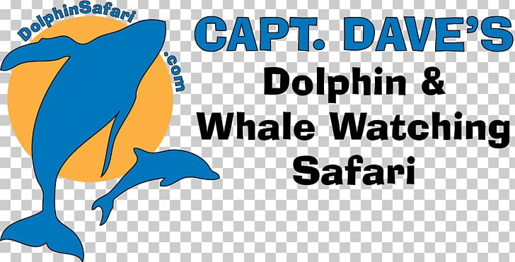 Capt Dave's Dana Point Whale Watching Cetacea Marine Mammal Dolphin PNG, Clipart,  Free PNG Download