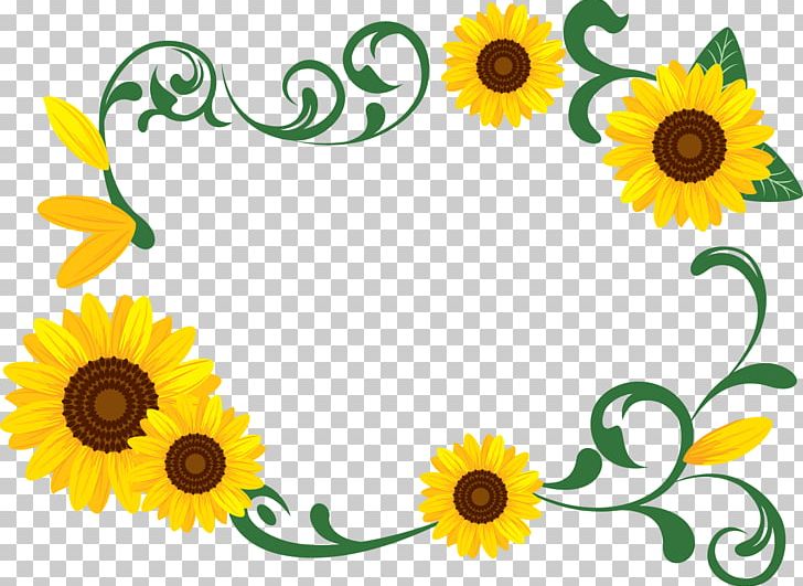 Common Sunflower Photography PNG, Clipart, Artwork, Common Sunflower, Cut Flowers, Daisy Family, Data Free PNG Download