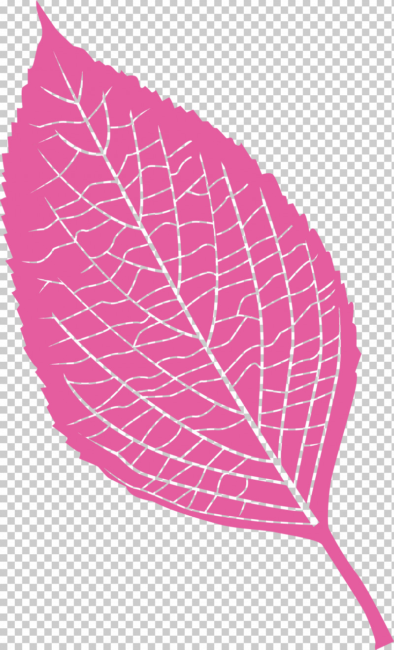 Leaf PNG, Clipart, Biology, Geometry, Leaf, Lilac, Line Free PNG Download
