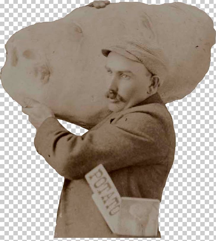 Ben Tips Statue Potato Bust Loveland PNG, Clipart, Bust, Classical Sculpture, Cygnini, Figurine, Internet Free PNG Download