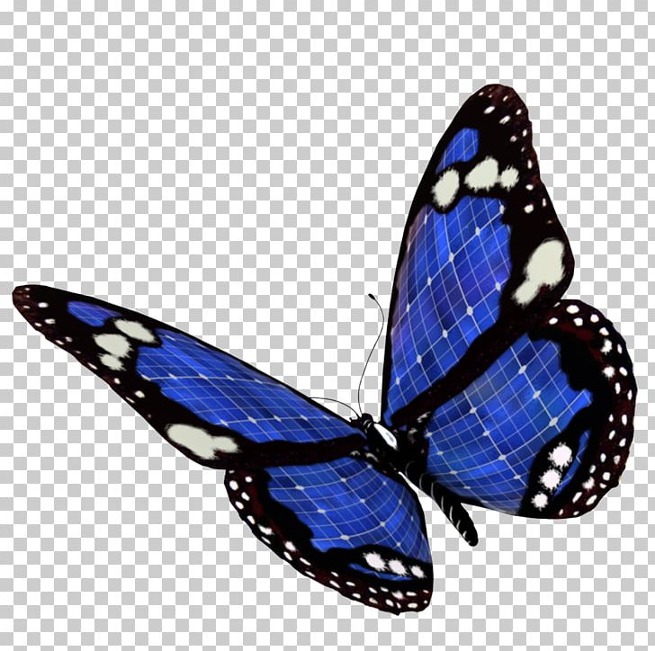 Blue Color PNG, Clipart, Arthropod, Blue, Brush Footed Butterfly, Butterfly, Cobalt Blue Free PNG Download