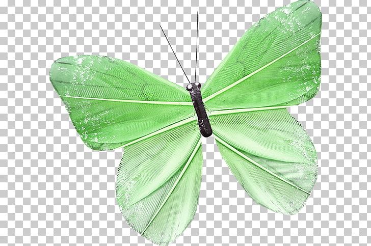 Butterfly Nymphalidae Moth PNG, Clipart, Brush Footed Butterfly, Butterflies, Color, Dream, Encapsulated Postscript Free PNG Download