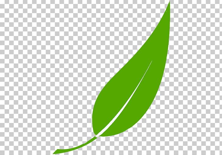 Leaf Green Plant Stem PNG, Clipart, Grass, Green, Leaf, Line, Plant Free PNG Download