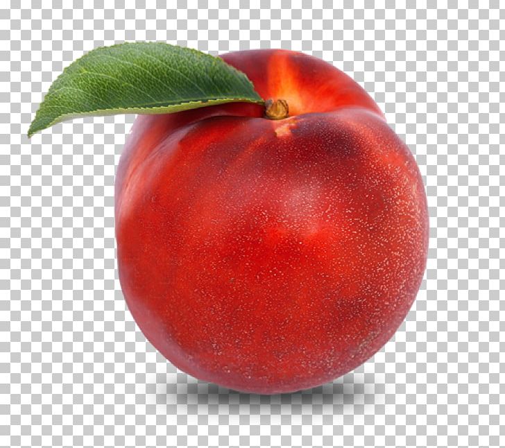 Nectarine Peach Fruit Food Auglis PNG, Clipart, Accessory Fruit, Apple, Auglis, Depositphotos, Food Free PNG Download